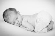 ABATE NEWBORN BUM UP