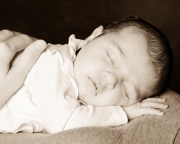 LORELEI FASOLINO NEWBORN